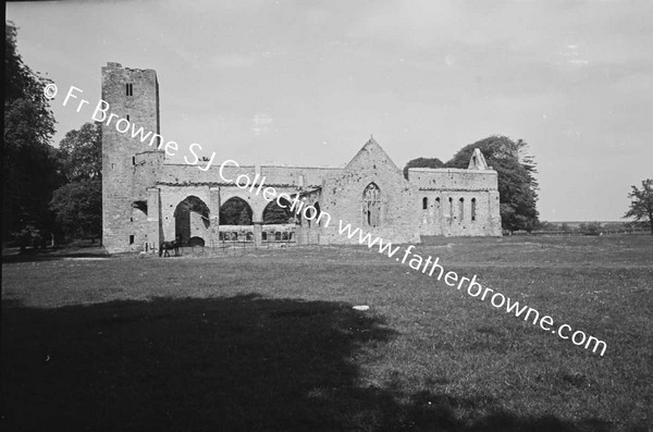 ARDFERT FRIARY SCENES